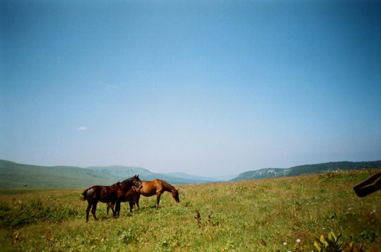 Rankin Ranch
