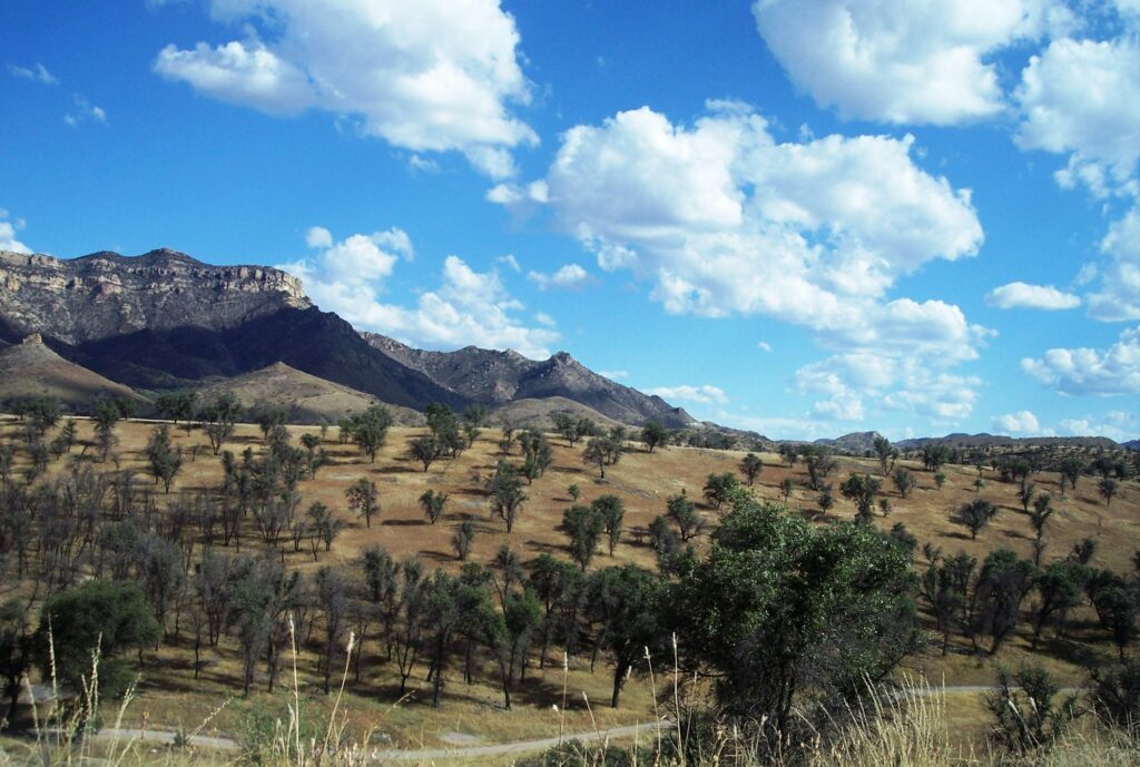 Circle Z Ranch