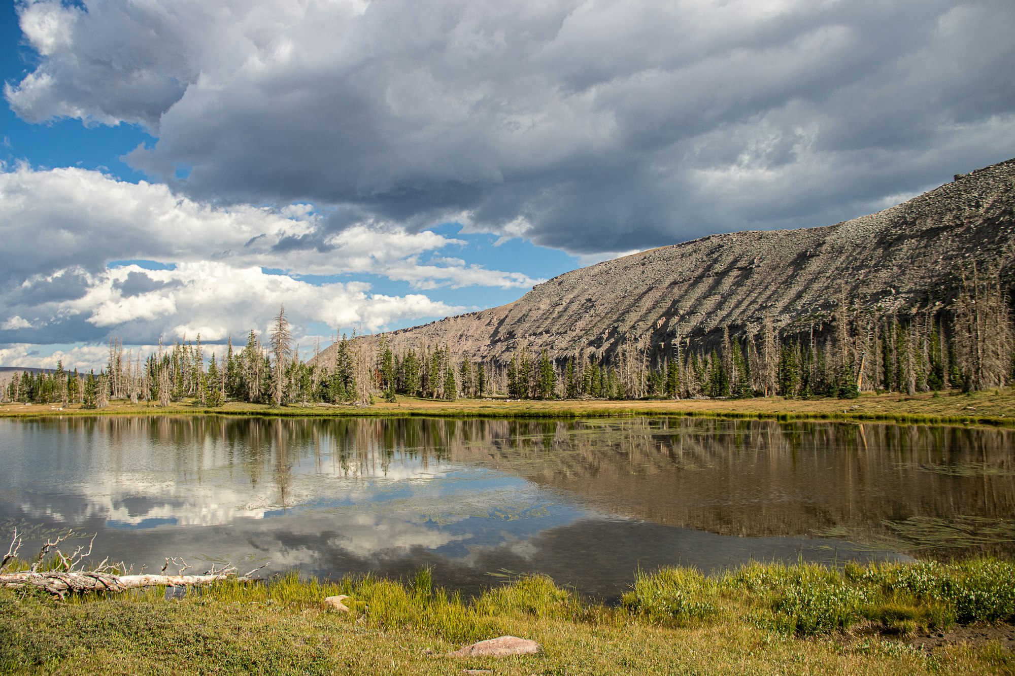 Defa's Dude Ranch, Hanna, Utah – the guest ranch experience