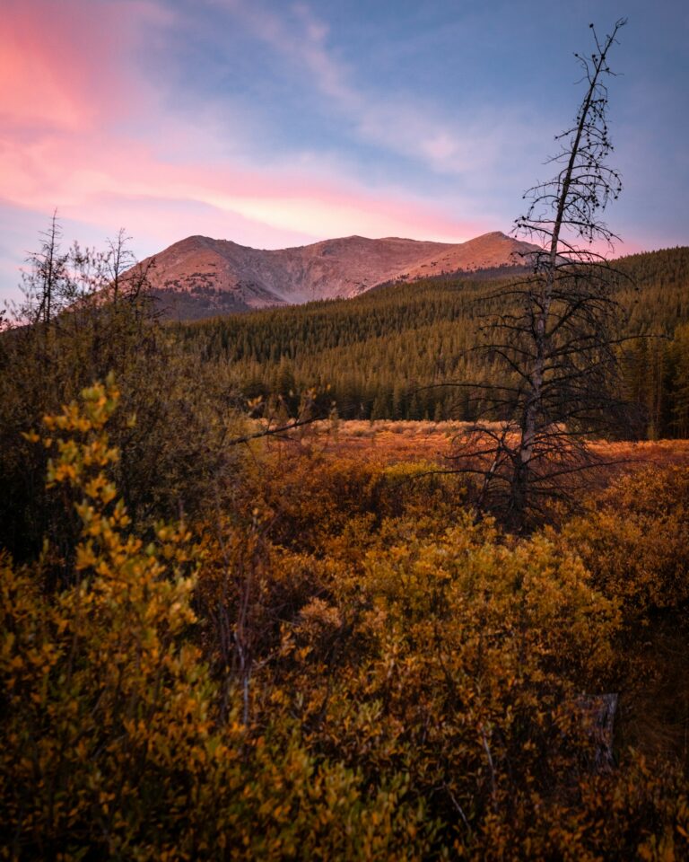 Elk Mountain Ranch