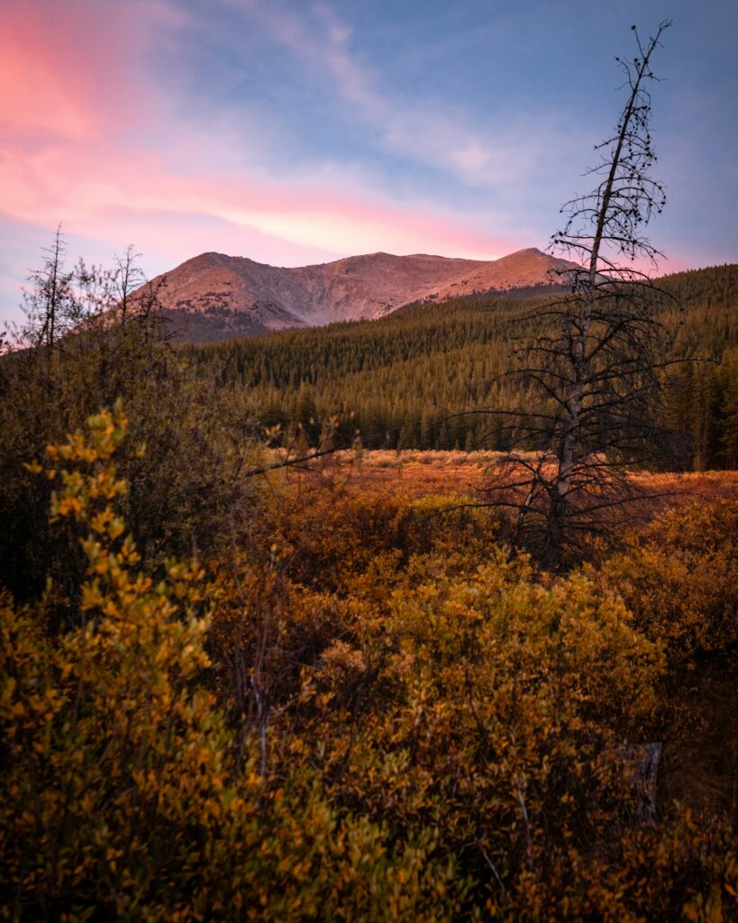 Elk Mountain Ranch