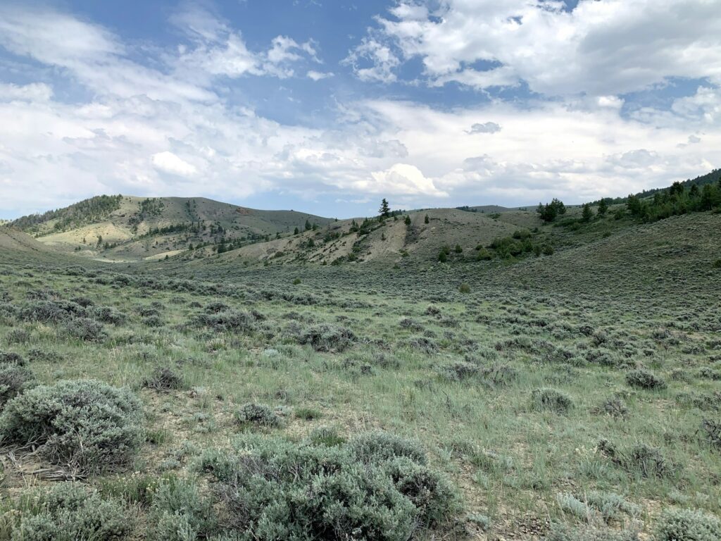 Latigo Ranch