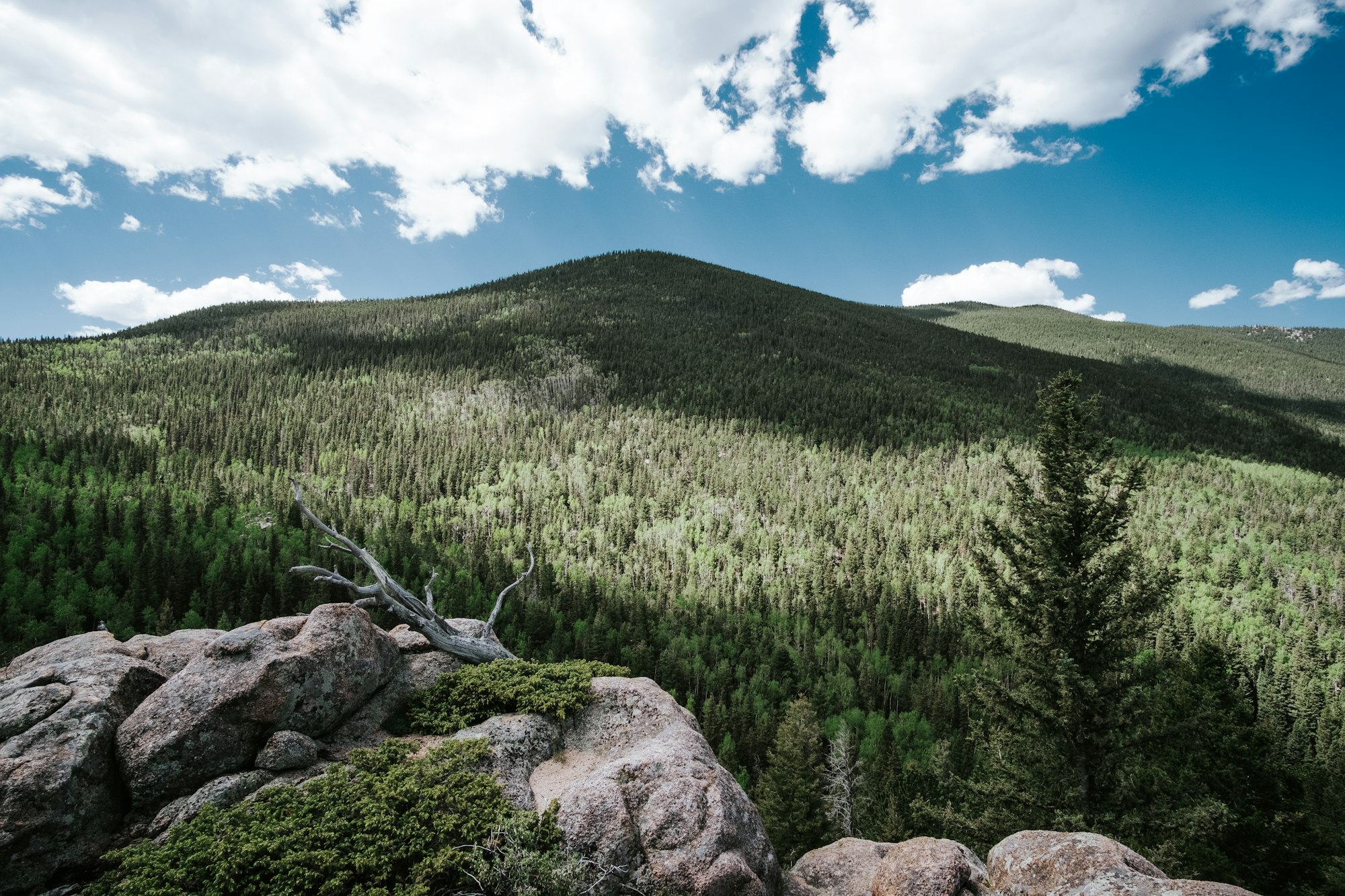 Lost Valley Ranch, Sedalia, Colorado – the guest ranch experience