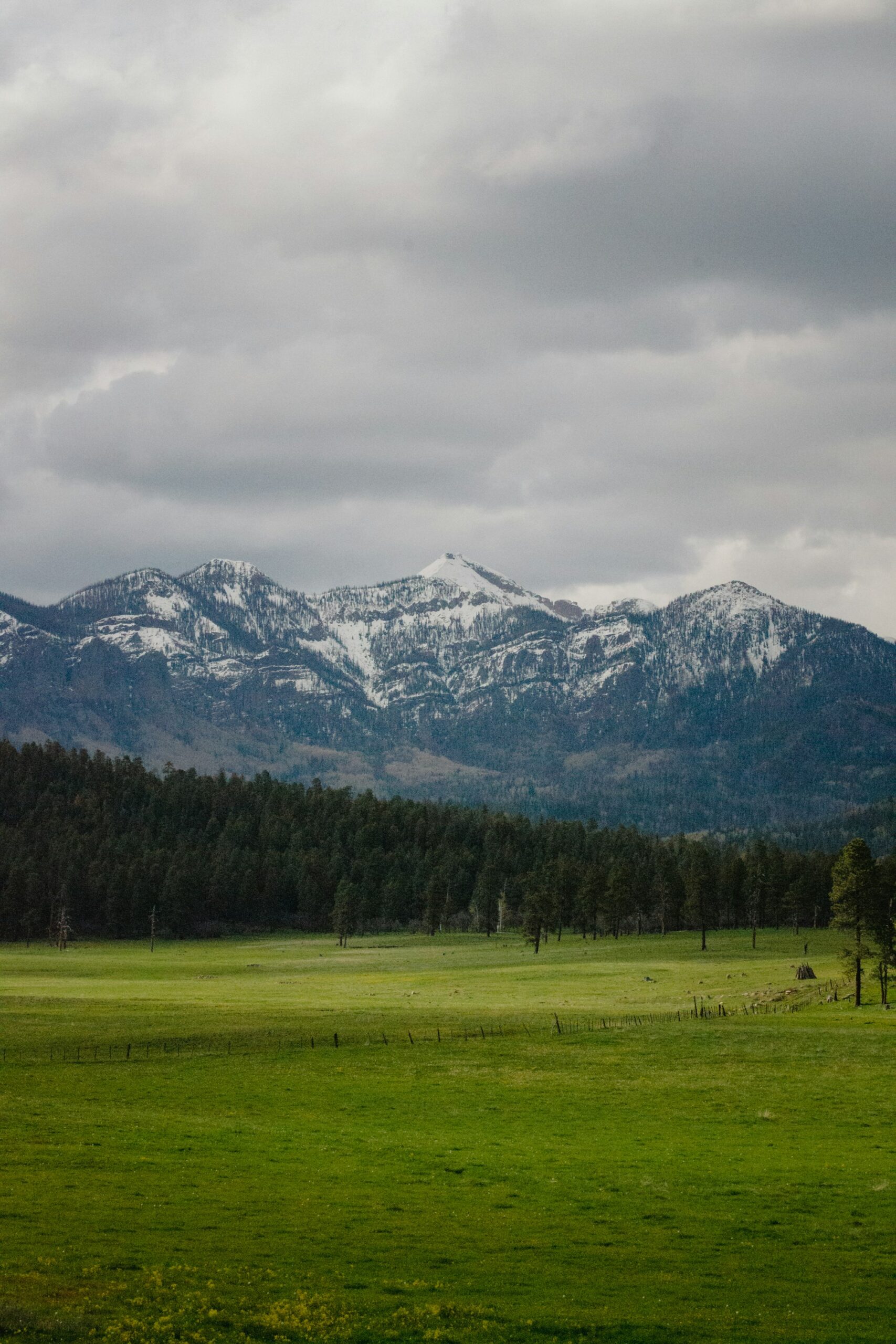 Majestic Dude Ranch, Mancos, Colorado – the guest ranch experience