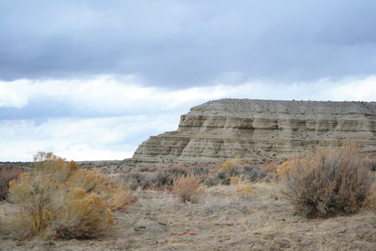 Medicine Bow Lodge