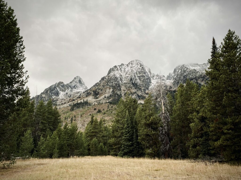 R Lazy S Ranch