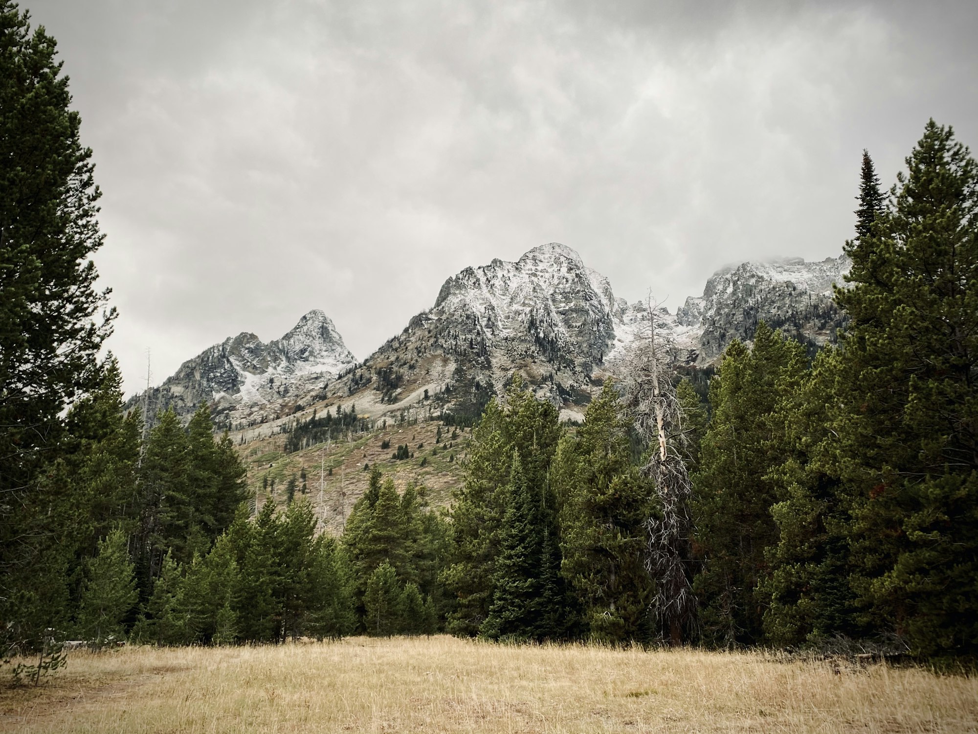 R Lazy S Ranch, Teton Village, Wyoming – the guest ranch experience