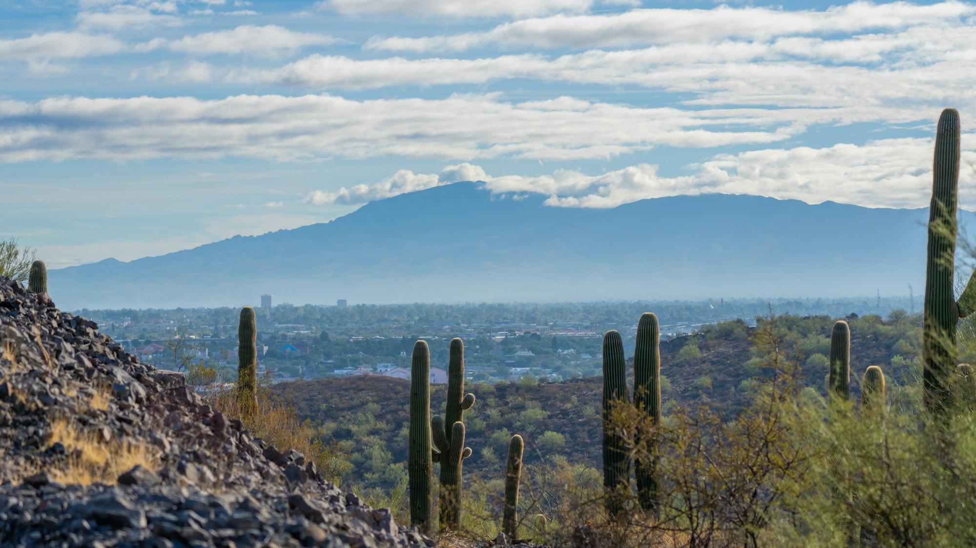 Rancho de la Osa, Sasabe, Arizona – the guest ranch experience