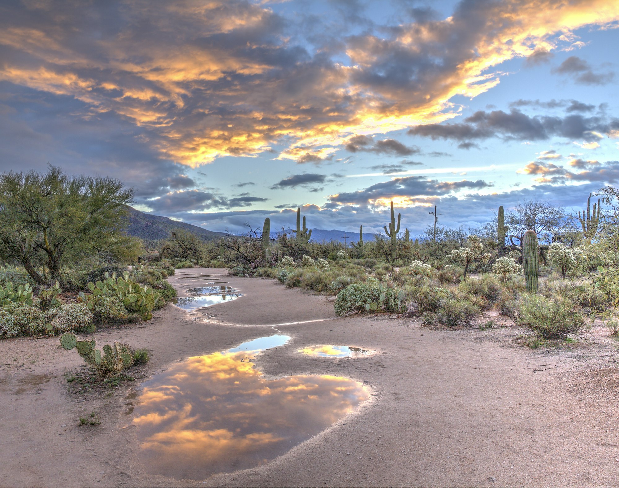 Tanque Verde Ranch, Tucson, Arizona – the guest ranch experience