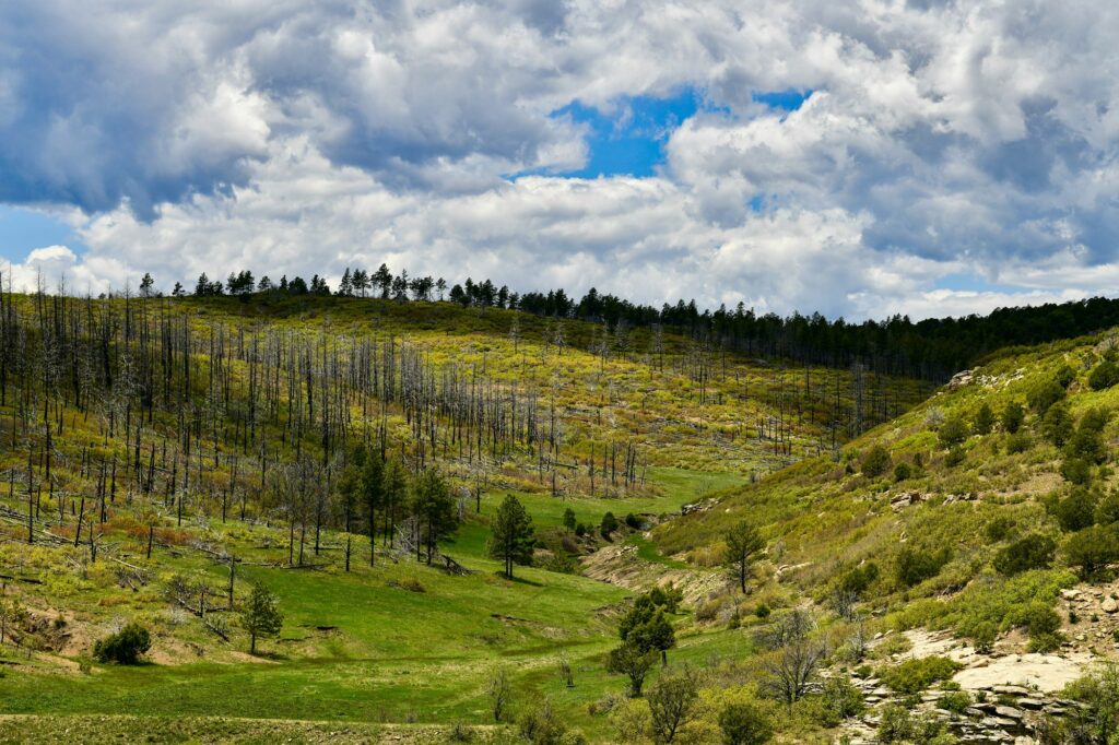 Vermejo, a Ted Turner Reserve